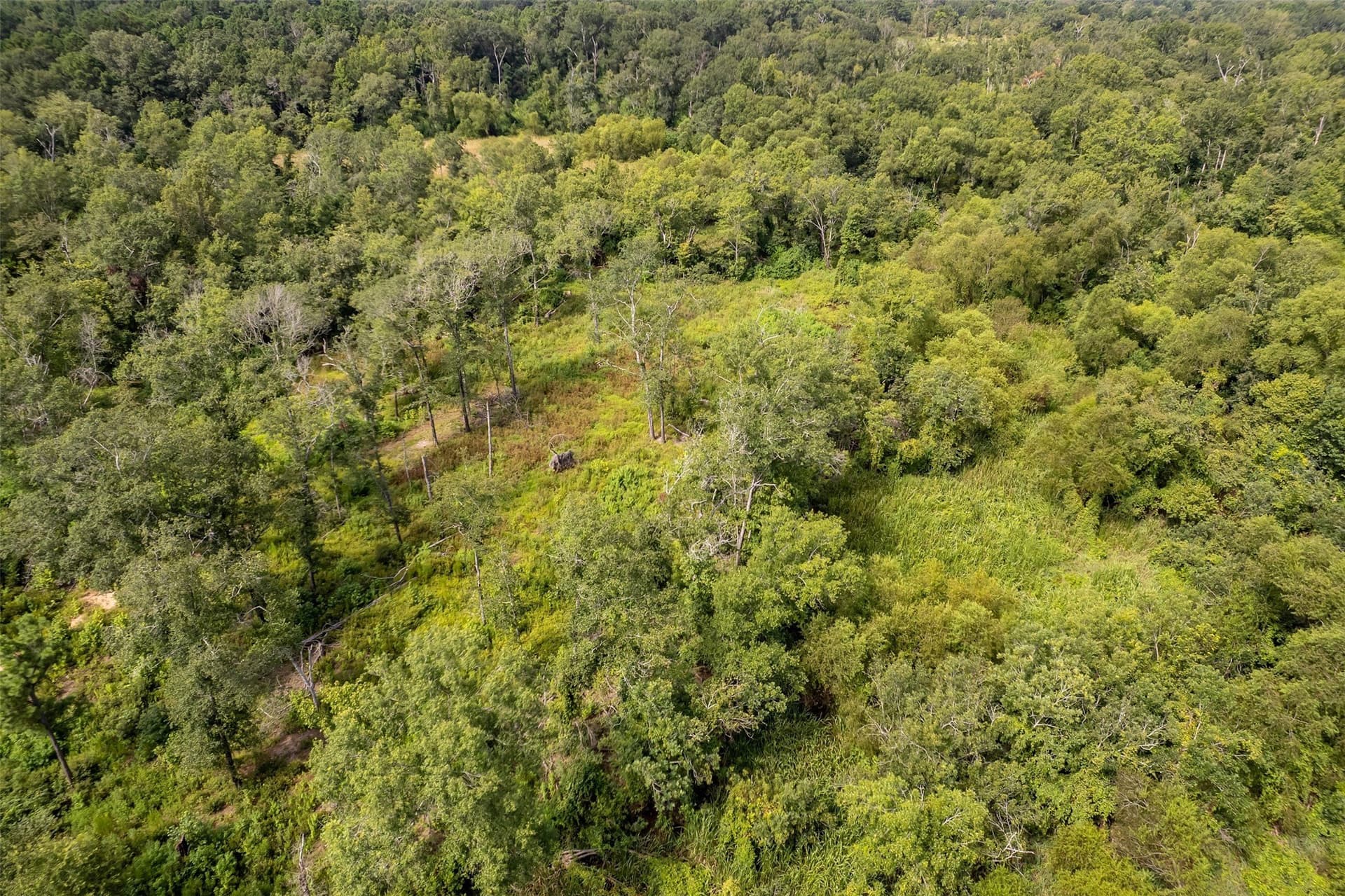 119.79 acres in Smith County - photo 29