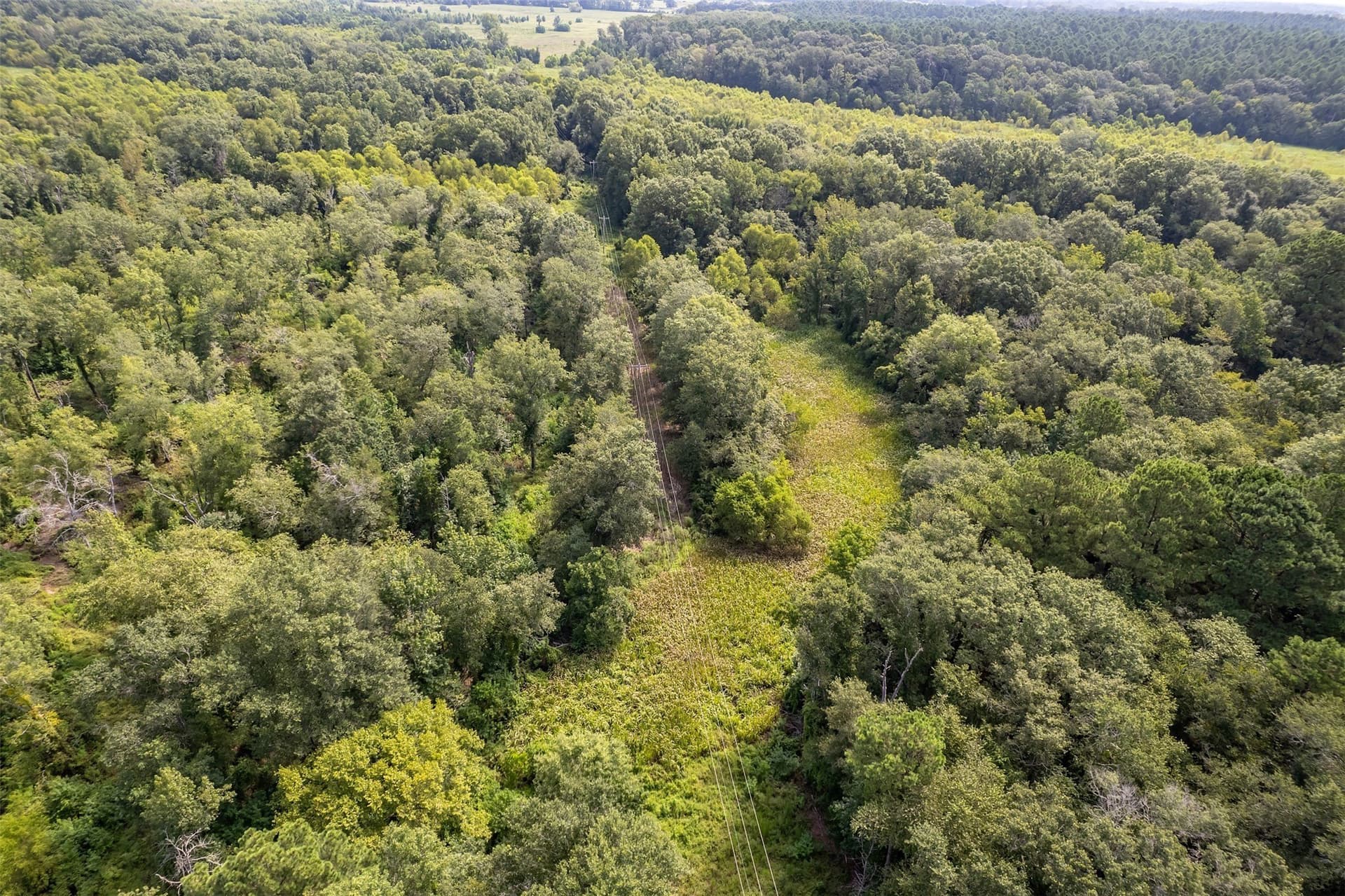 119.79 acres in Smith County - photo 18