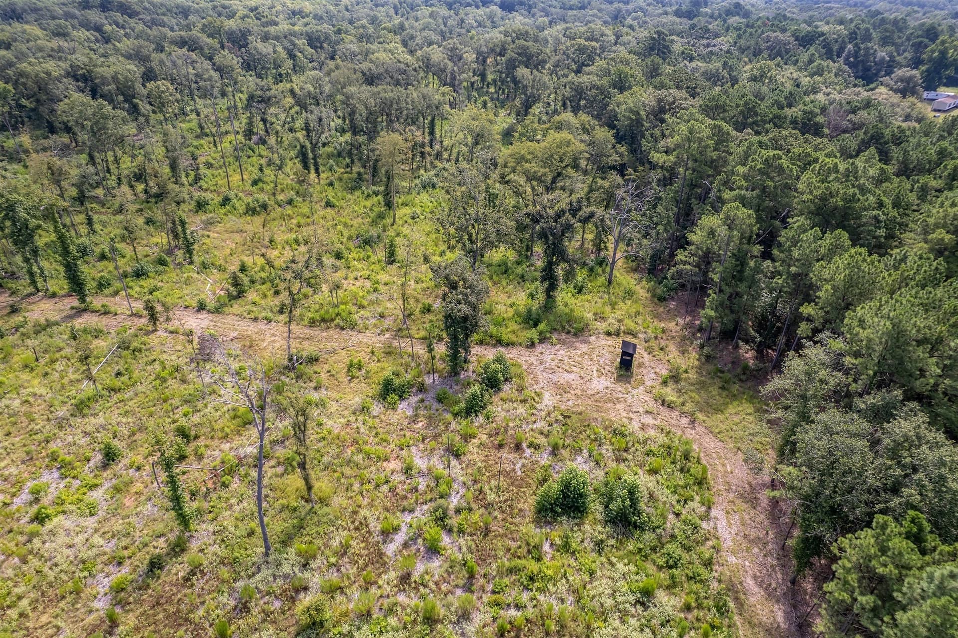 119.79 acres in Smith County - photo 16