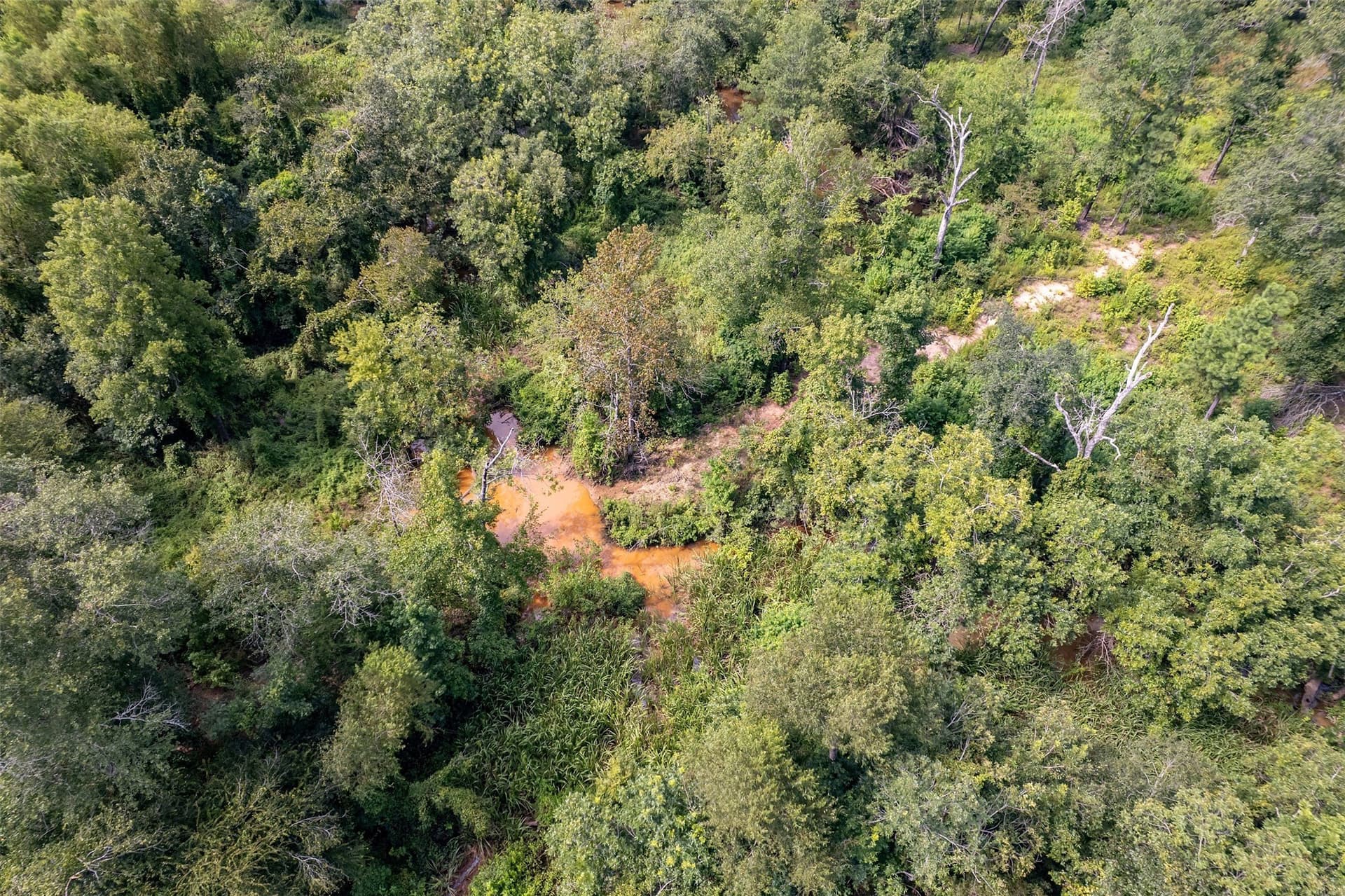 119.79 acres in Smith County - photo 30