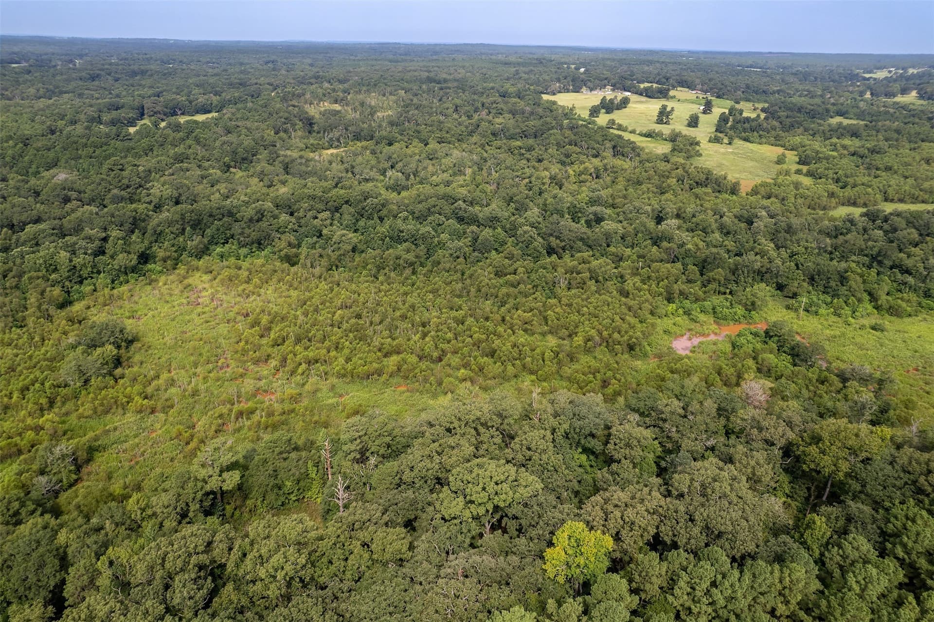 119.79 acres in Smith County - photo 20