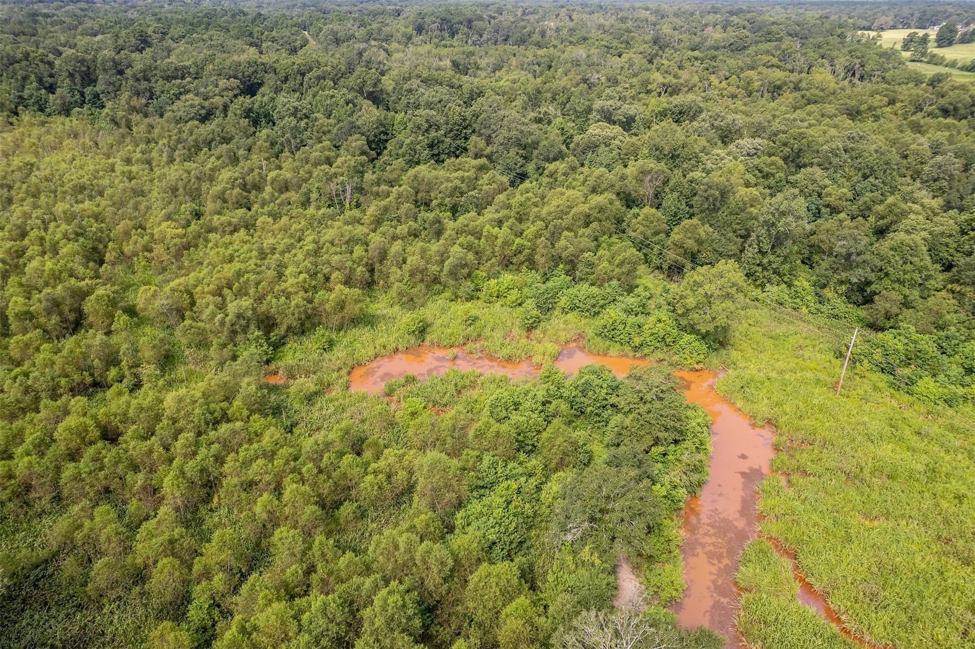 119.79 acres in Smith County - photo 24