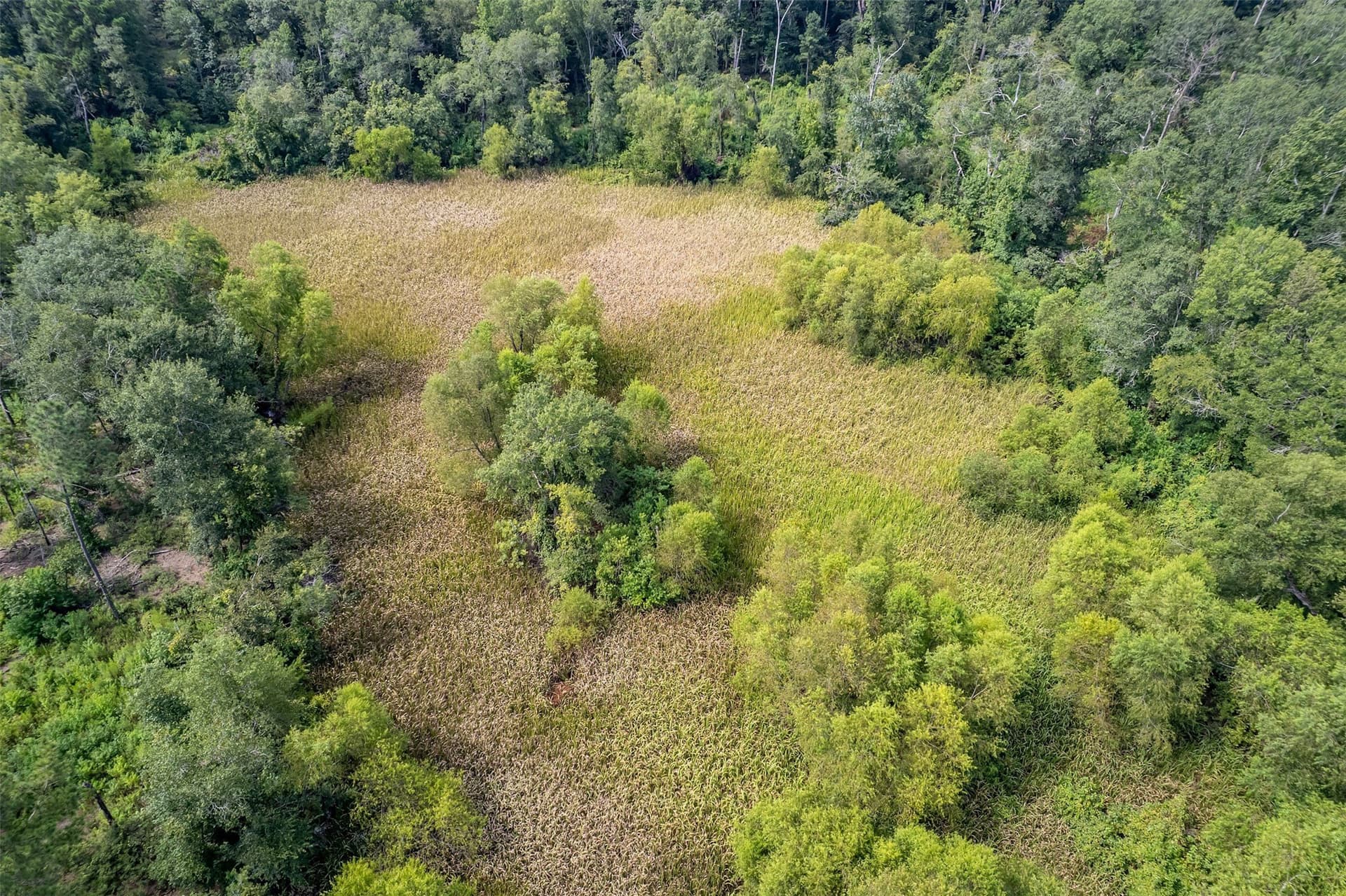 119.79 acres in Smith County - photo 34