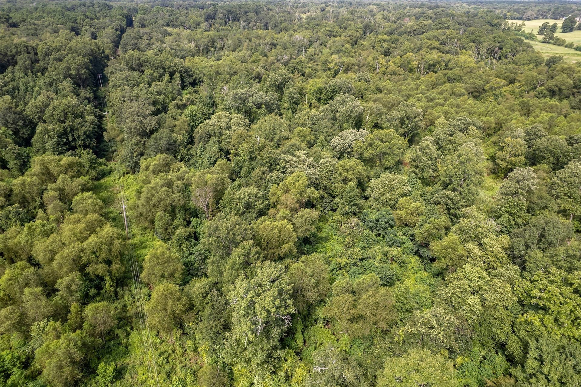 119.79 acres in Smith County - photo 25
