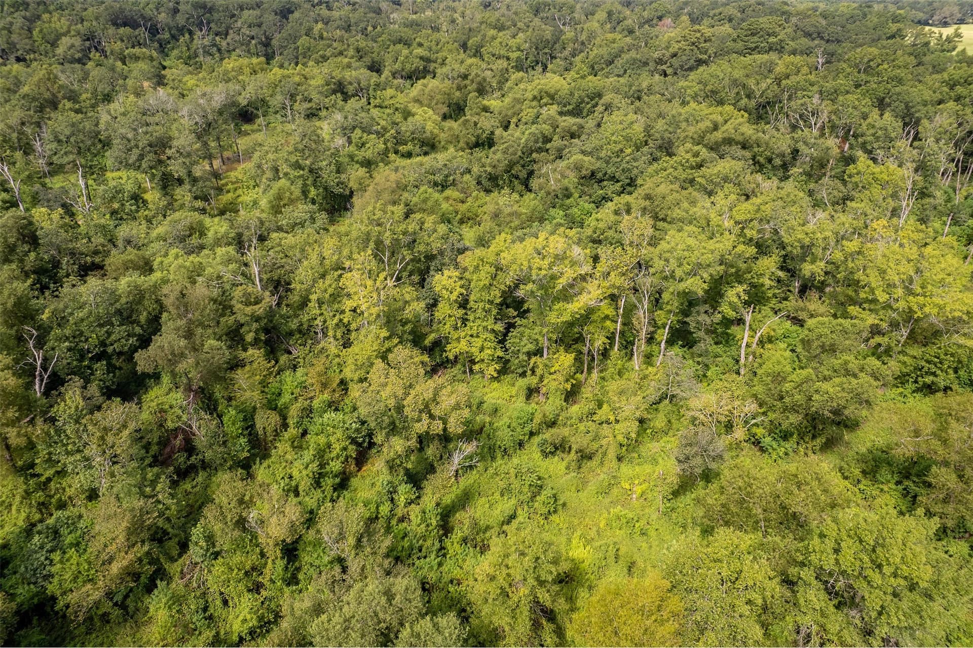 119.79 acres in Smith County - photo 28
