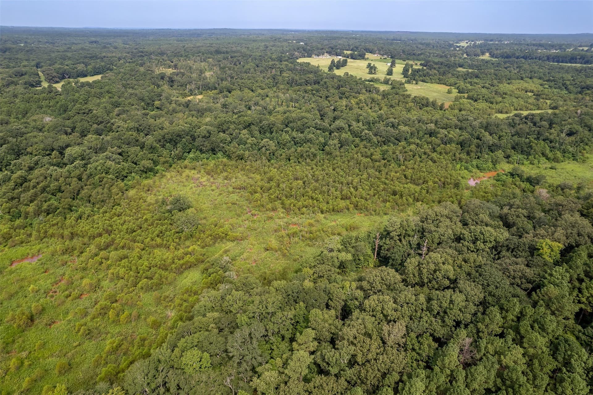 119.79 acres in Smith County - photo 19