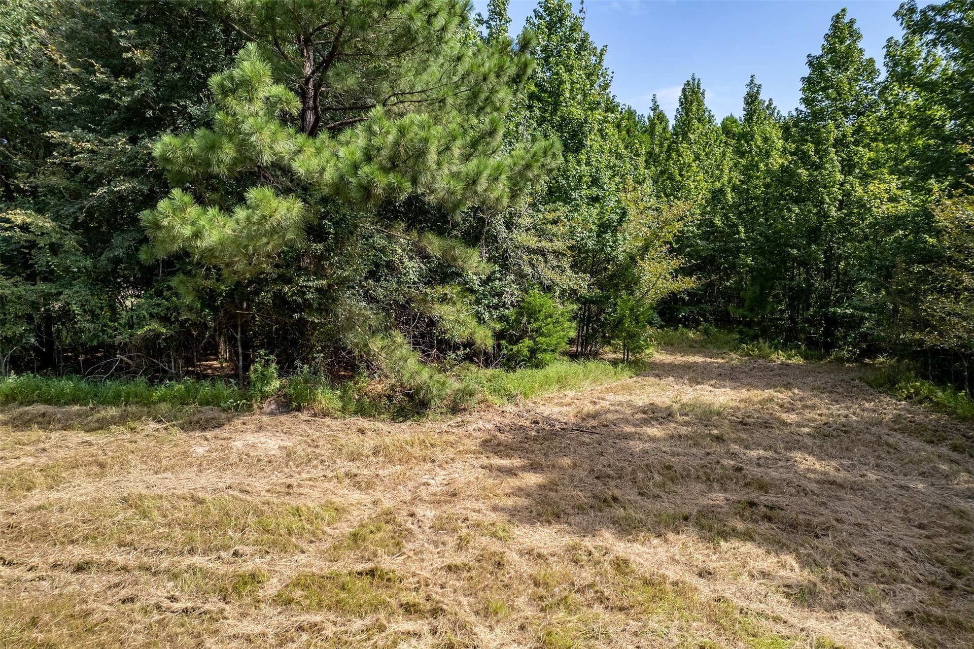 119.79 acres in Smith County gallery image 4