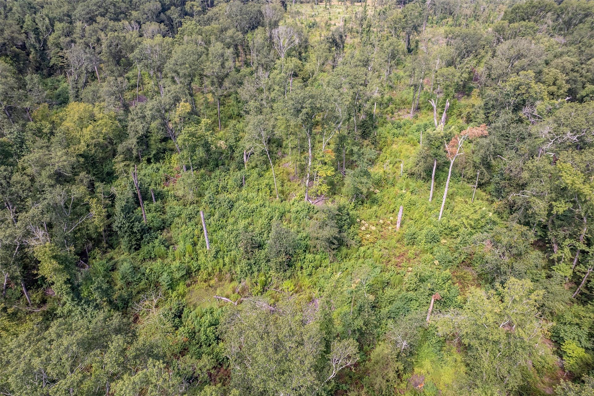 119.79 acres in Smith County - photo 35