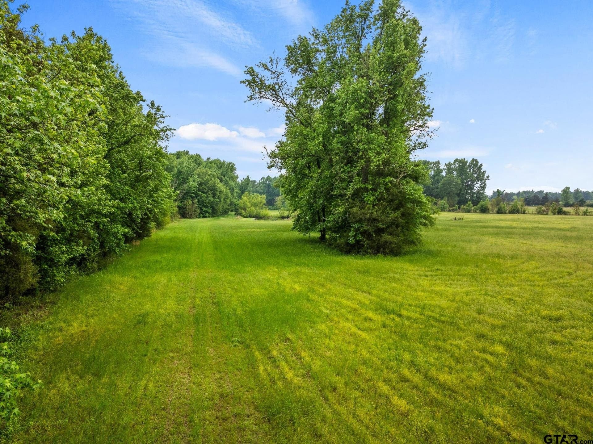 24.98 acres in Camp County - photo 34