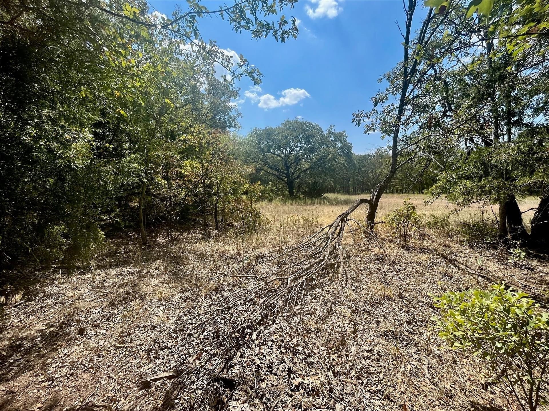 1.01 acres in Montague County - photo 11