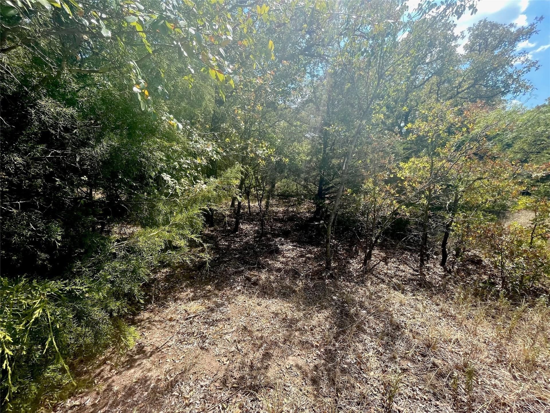 1.01 acres in Montague County - photo 12