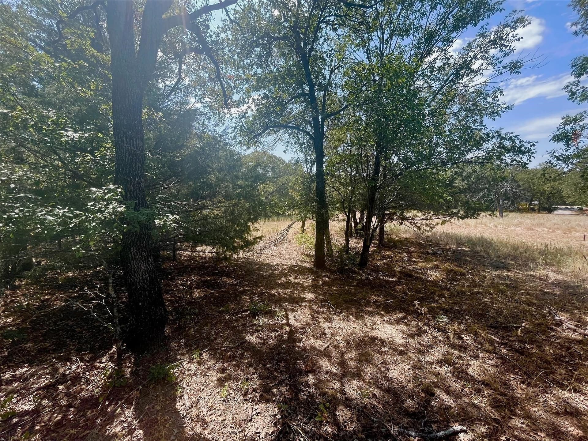 1.01 acres in Montague County - photo 10
