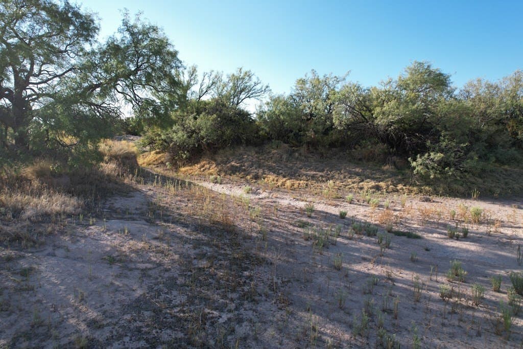 20.01 acres in Hudspeth County featured view