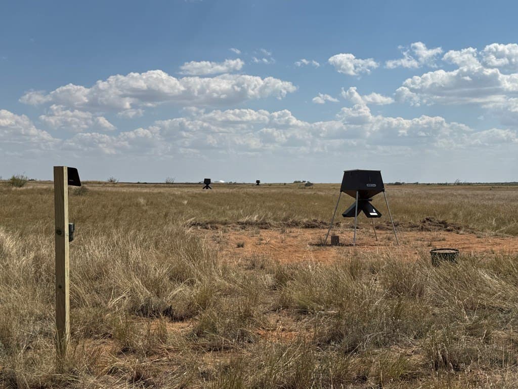 90 acres in Scurry County featured view