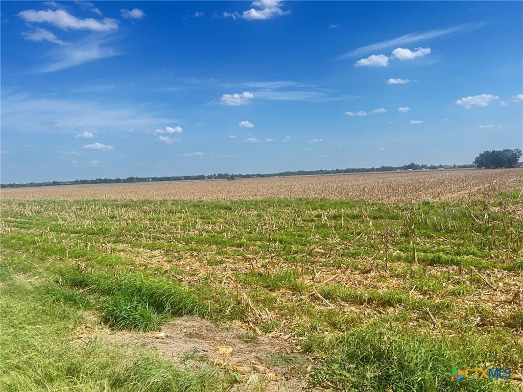 99.5 acres in Bell County - photo 4