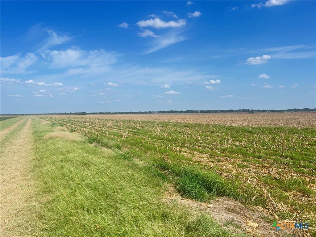 99.5 acres in Bell County - photo 2