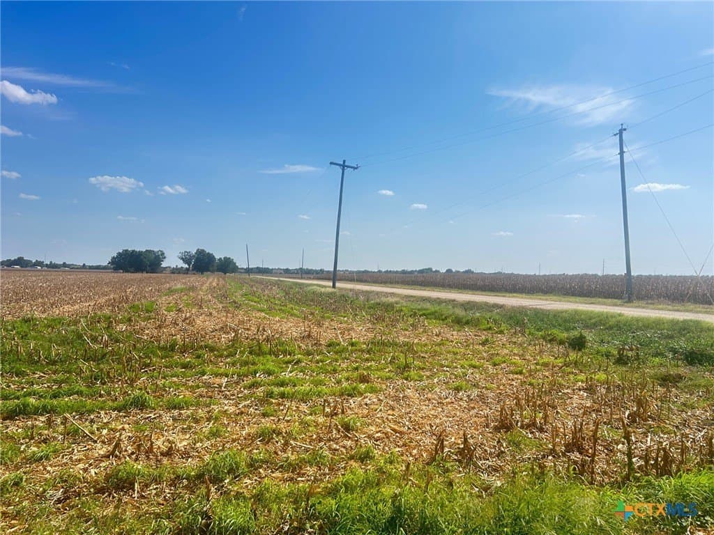 99.5 acres in Bell County - photo 5