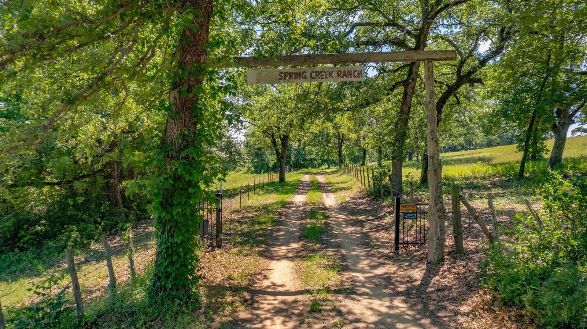 70.17 acres in Henderson County - photo 9