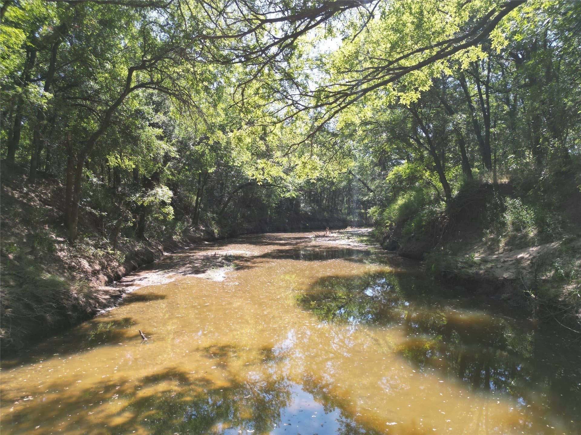 625 acres in Eastland County gallery image 4