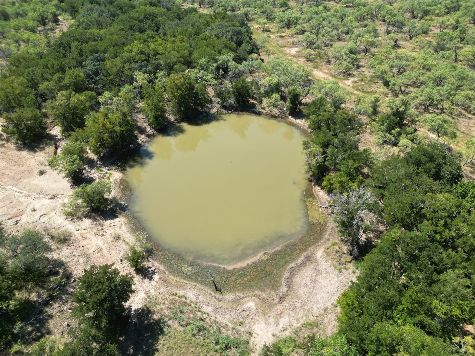 625 acres in Eastland County - photo 16