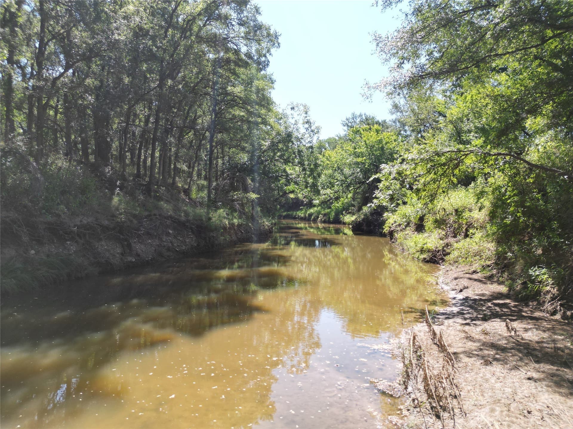 625 acres in Eastland County - photo 7