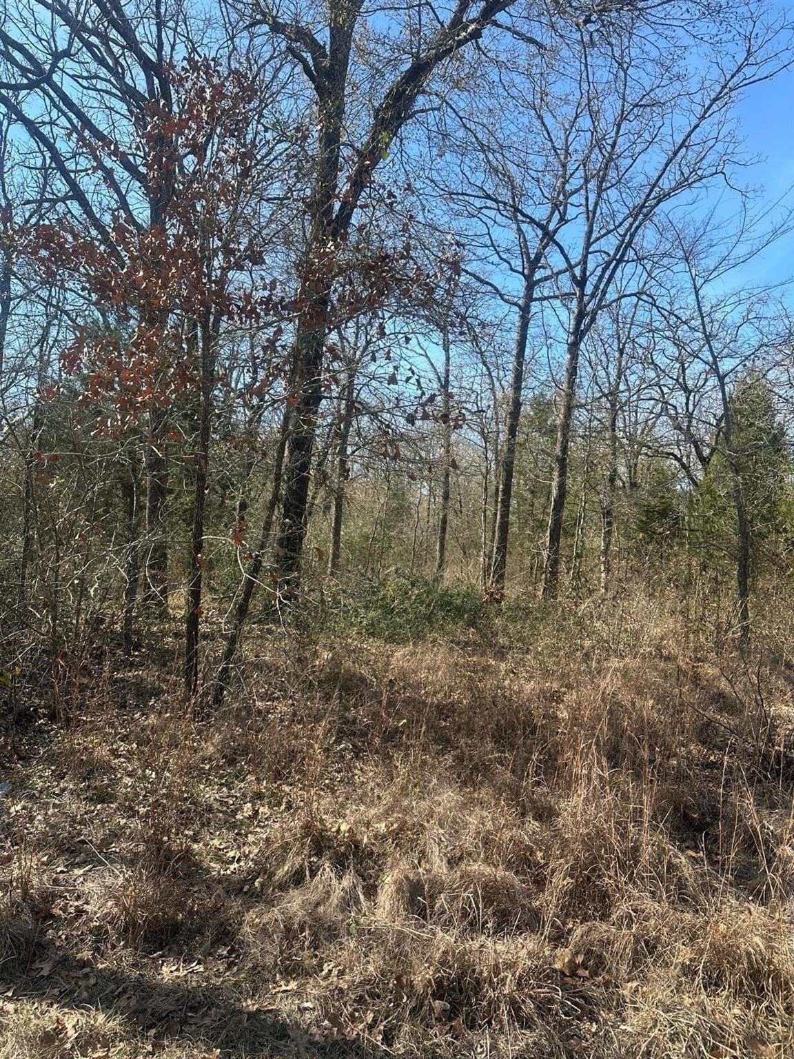 0.11 acres in Henderson County