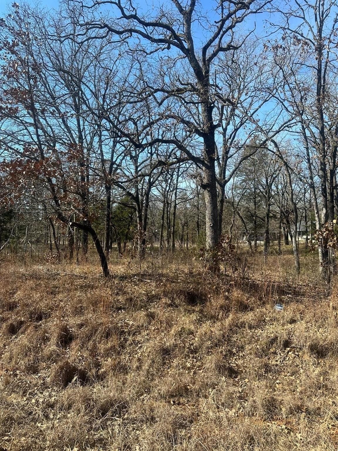 0.11 acres in Henderson County - photo 3