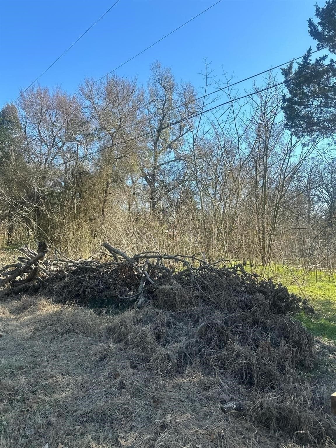 0.11 acres in Henderson County - photo 4