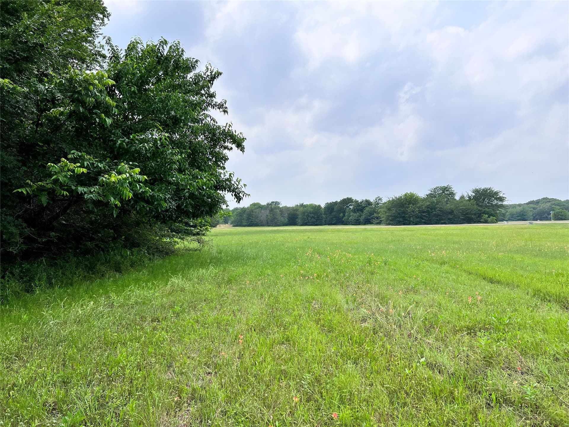 1.02 acres in Navarro County gallery image 2