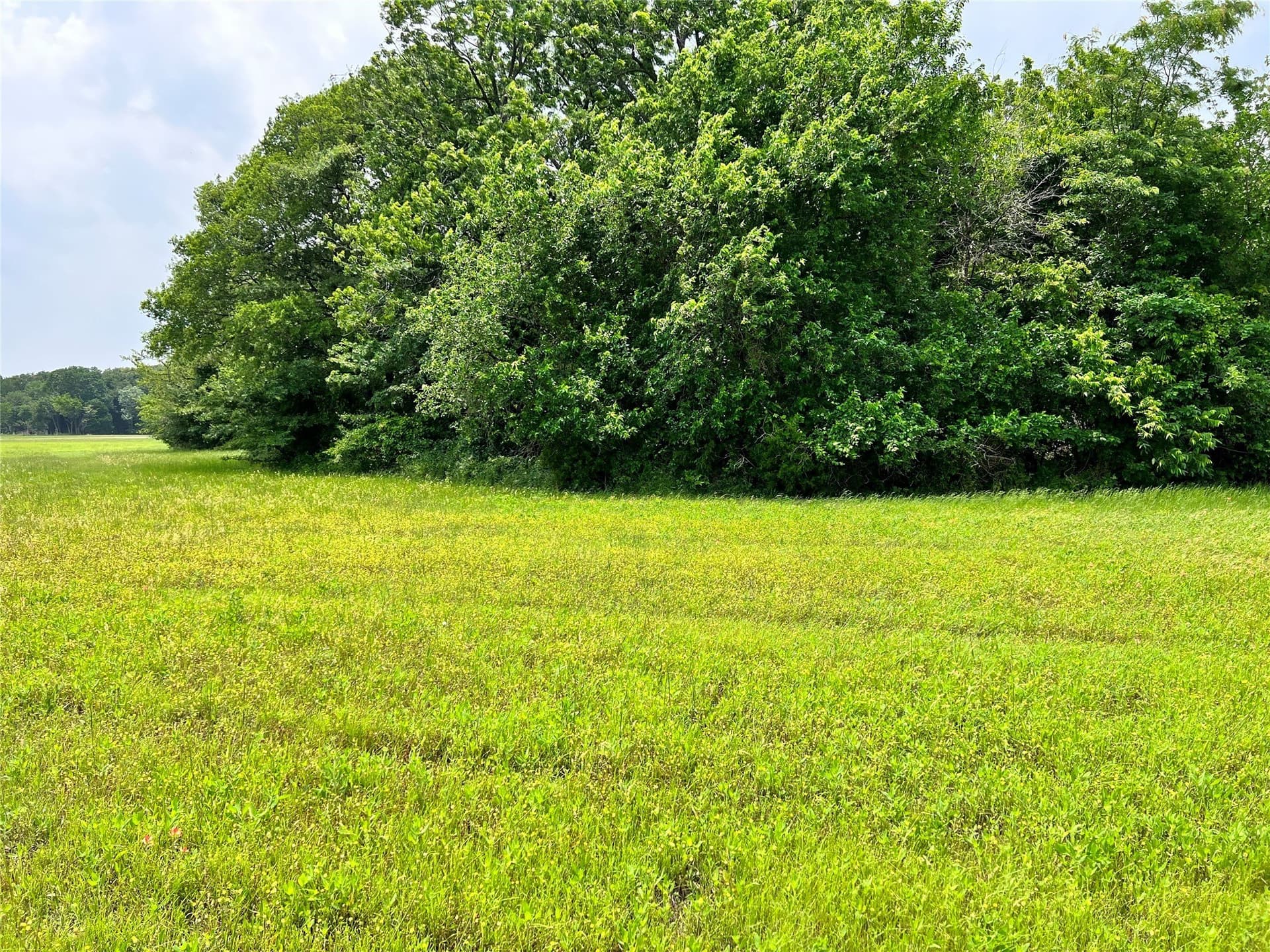 1.02 acres in Navarro County - photo 12