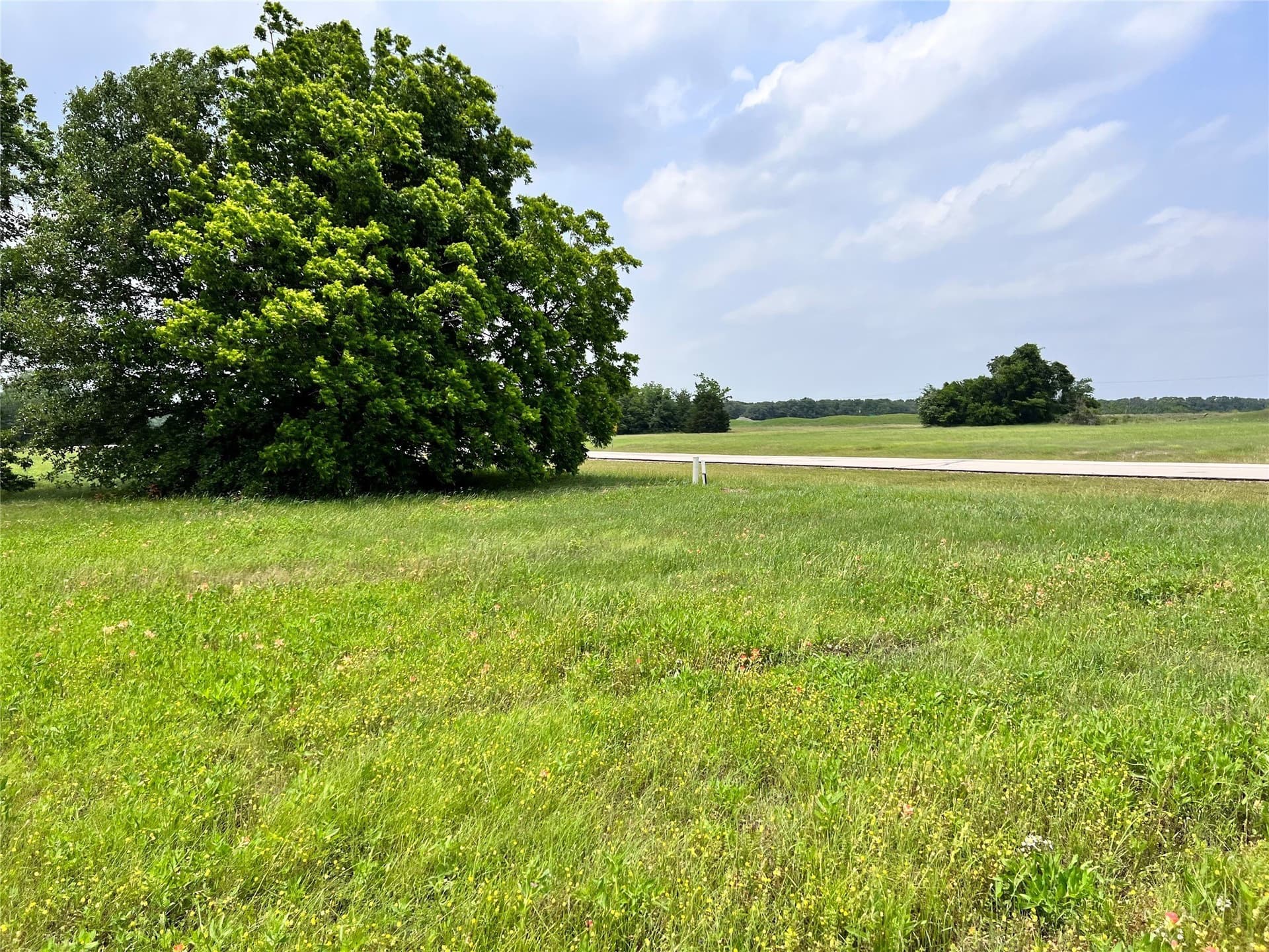 1.02 acres in Navarro County - photo 11