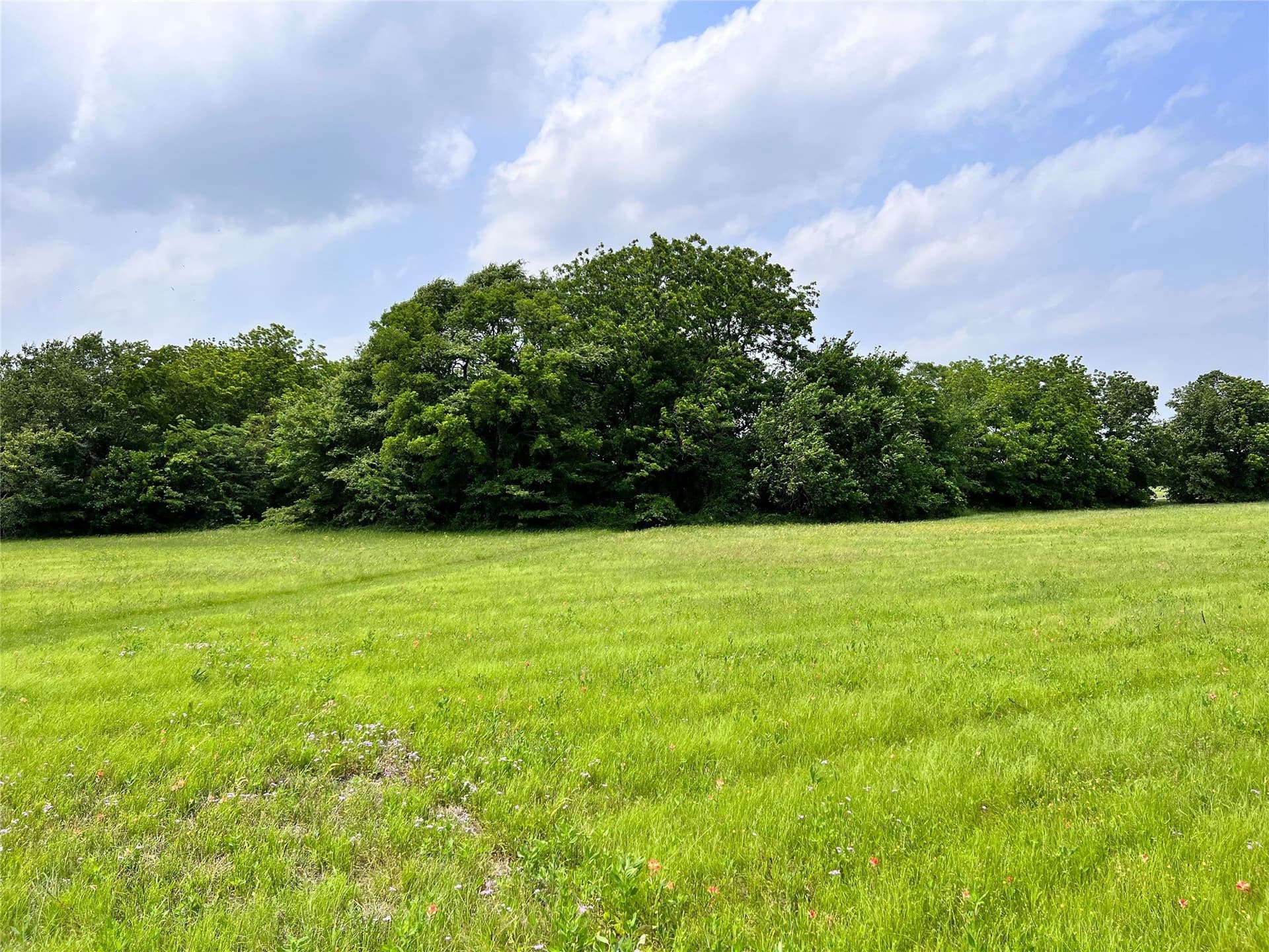 1.02 acres in Navarro County - photo 24