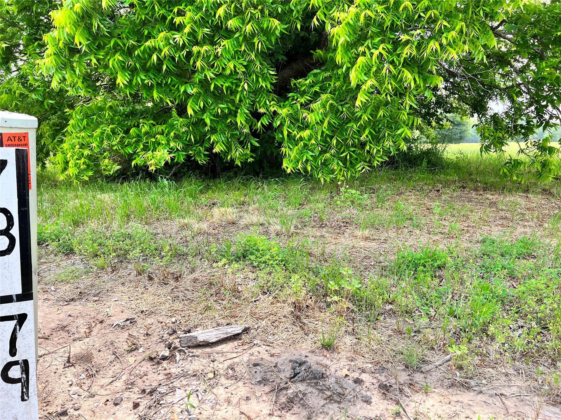 1.02 acres in Navarro County gallery image 4