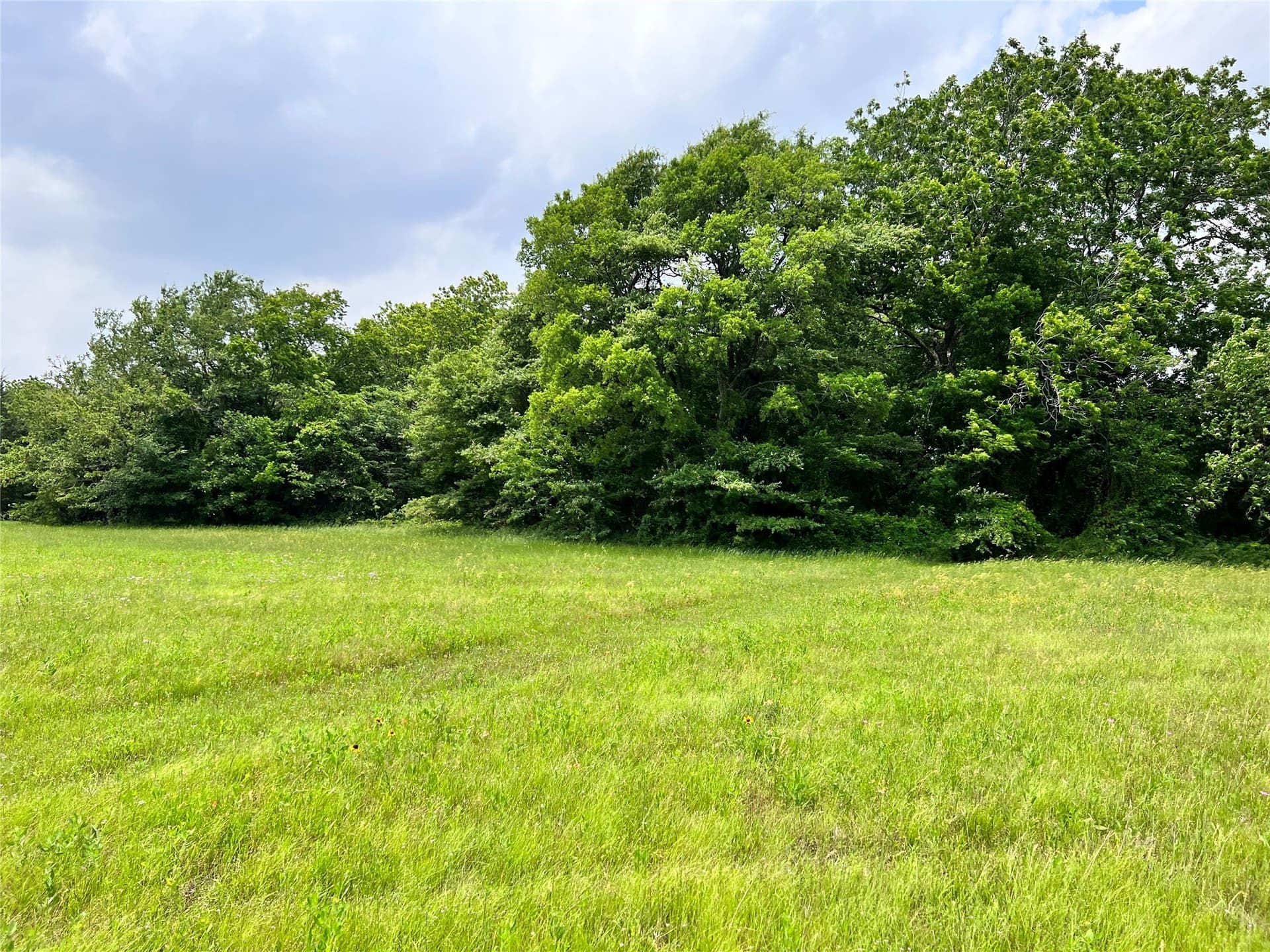 1.02 acres in Navarro County - photo 20