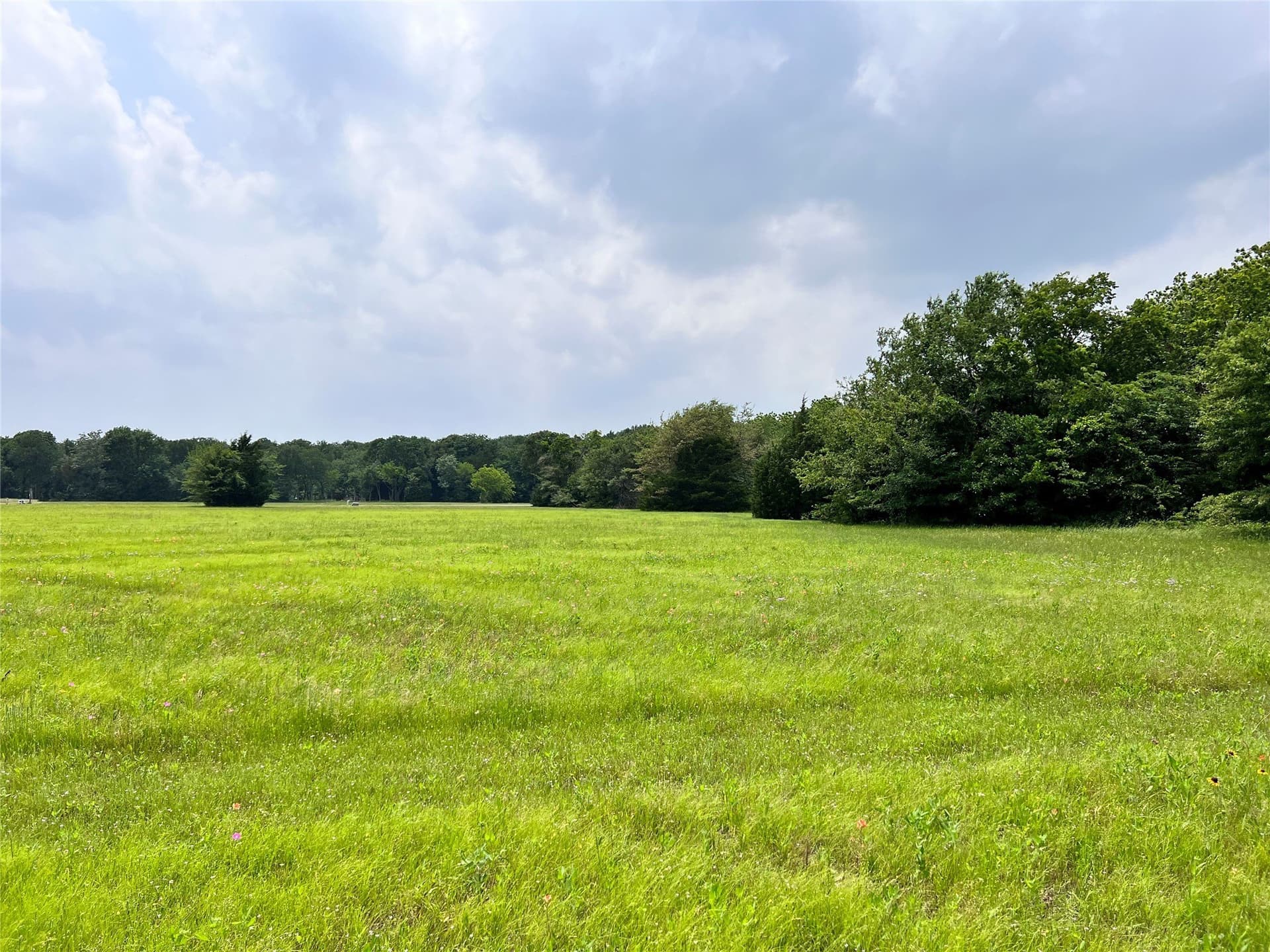 1.02 acres in Navarro County - photo 19