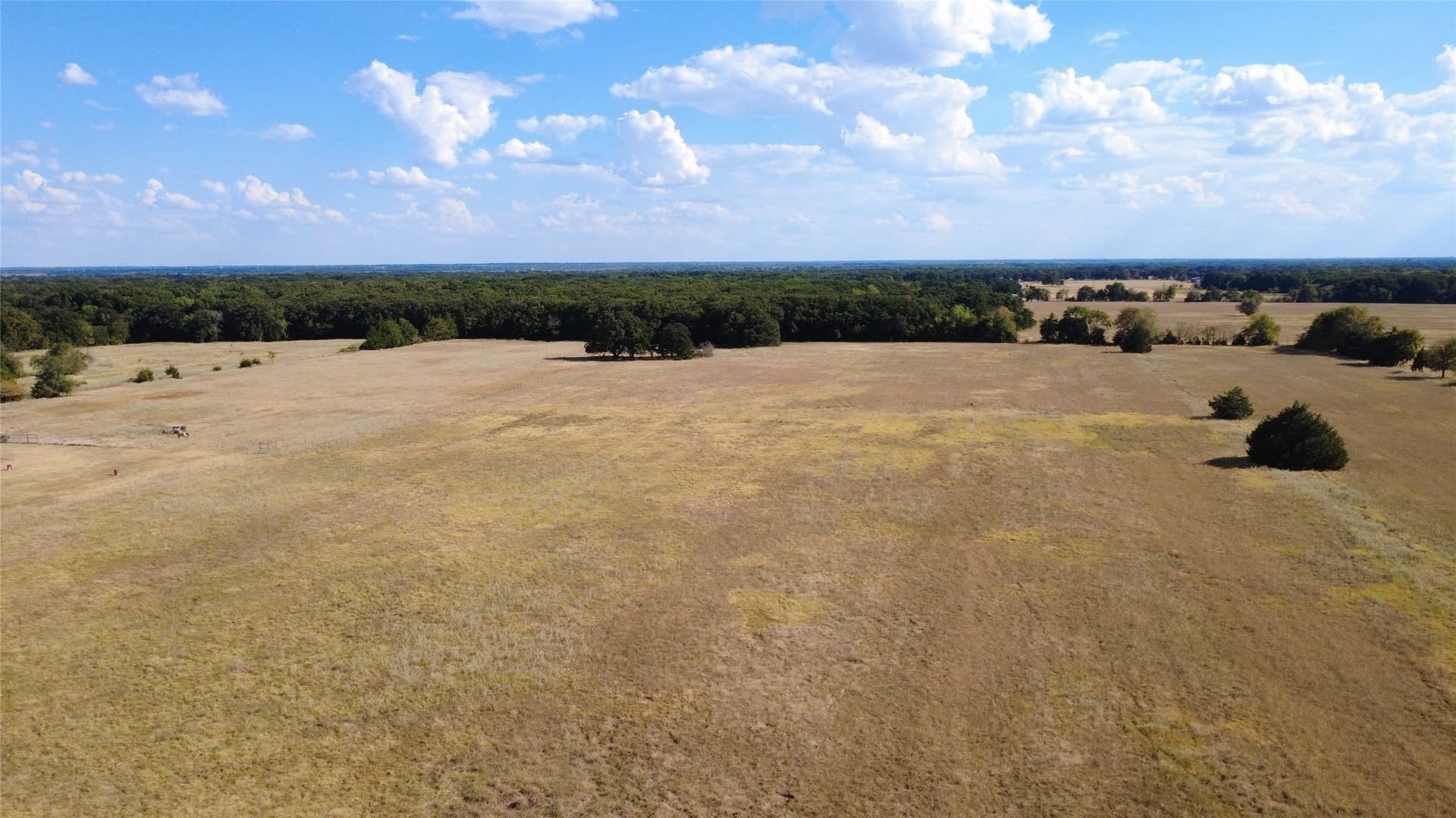 11 acres in Fannin County - photo 2