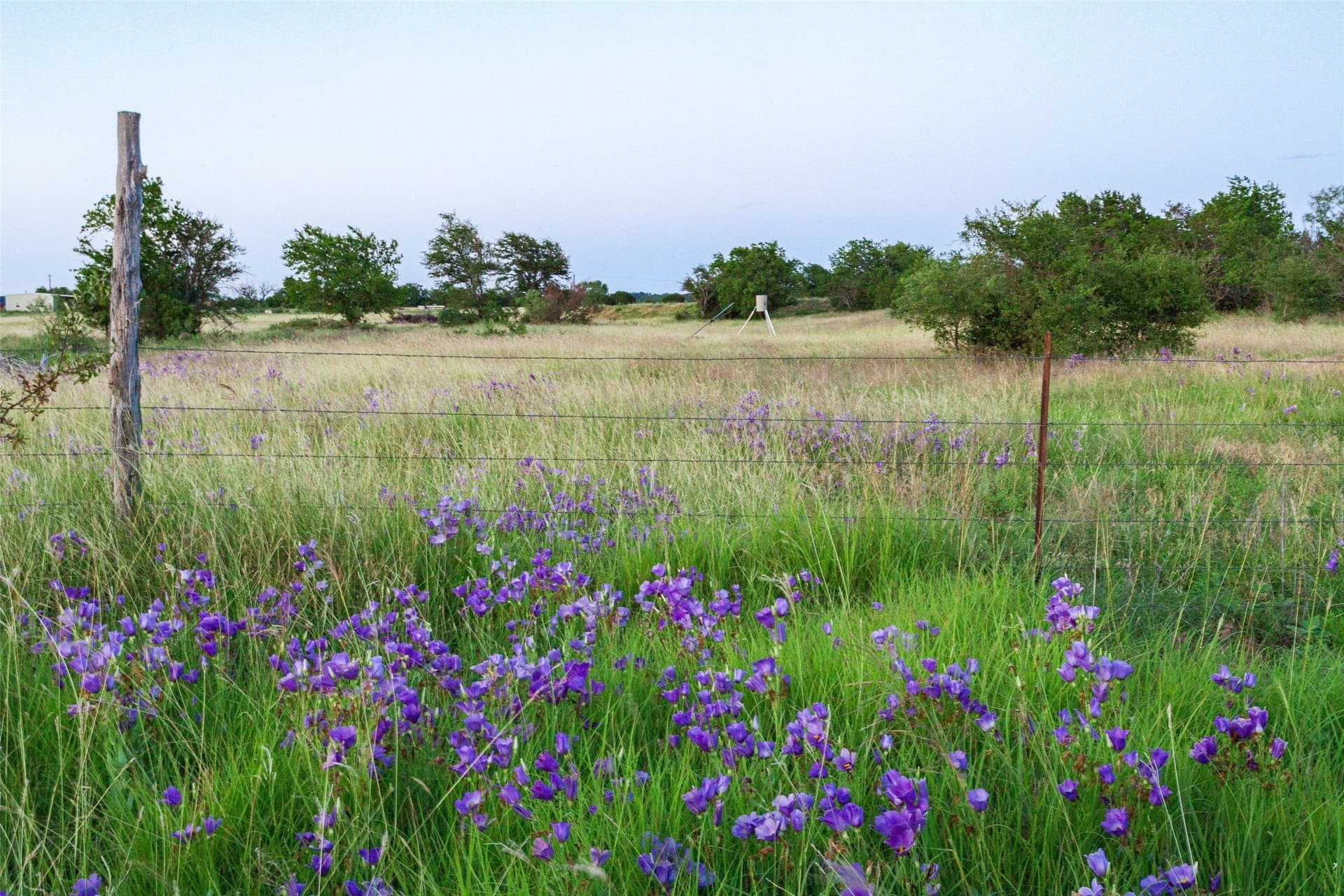 124 acres in Hamilton County - photo 8