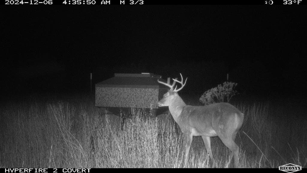 124 acres in Hamilton County - photo 16