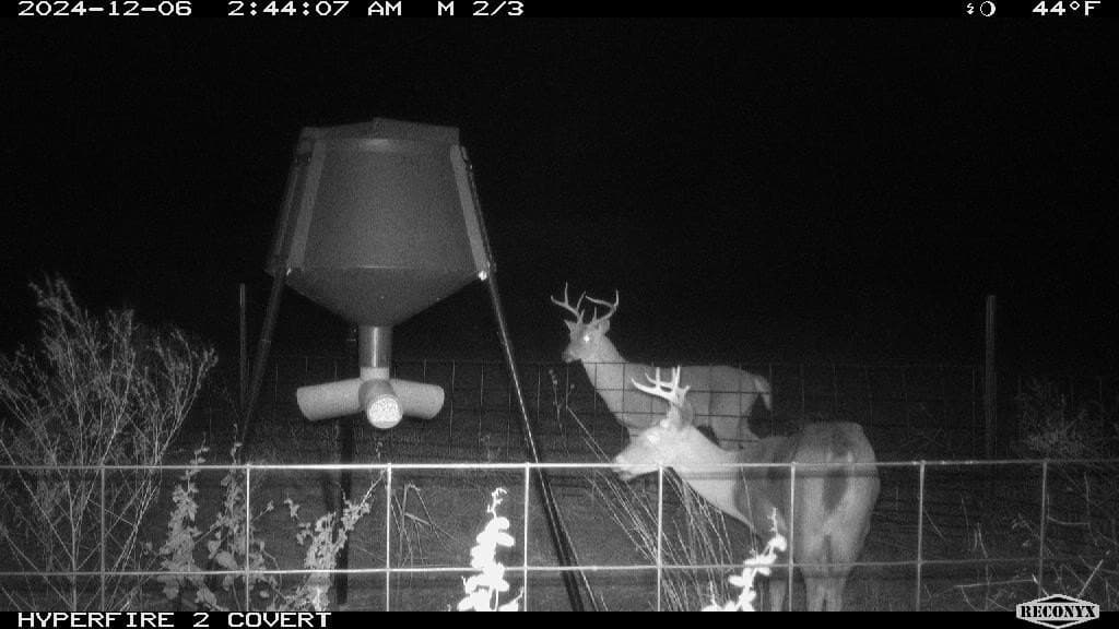 124 acres in Hamilton County - photo 2