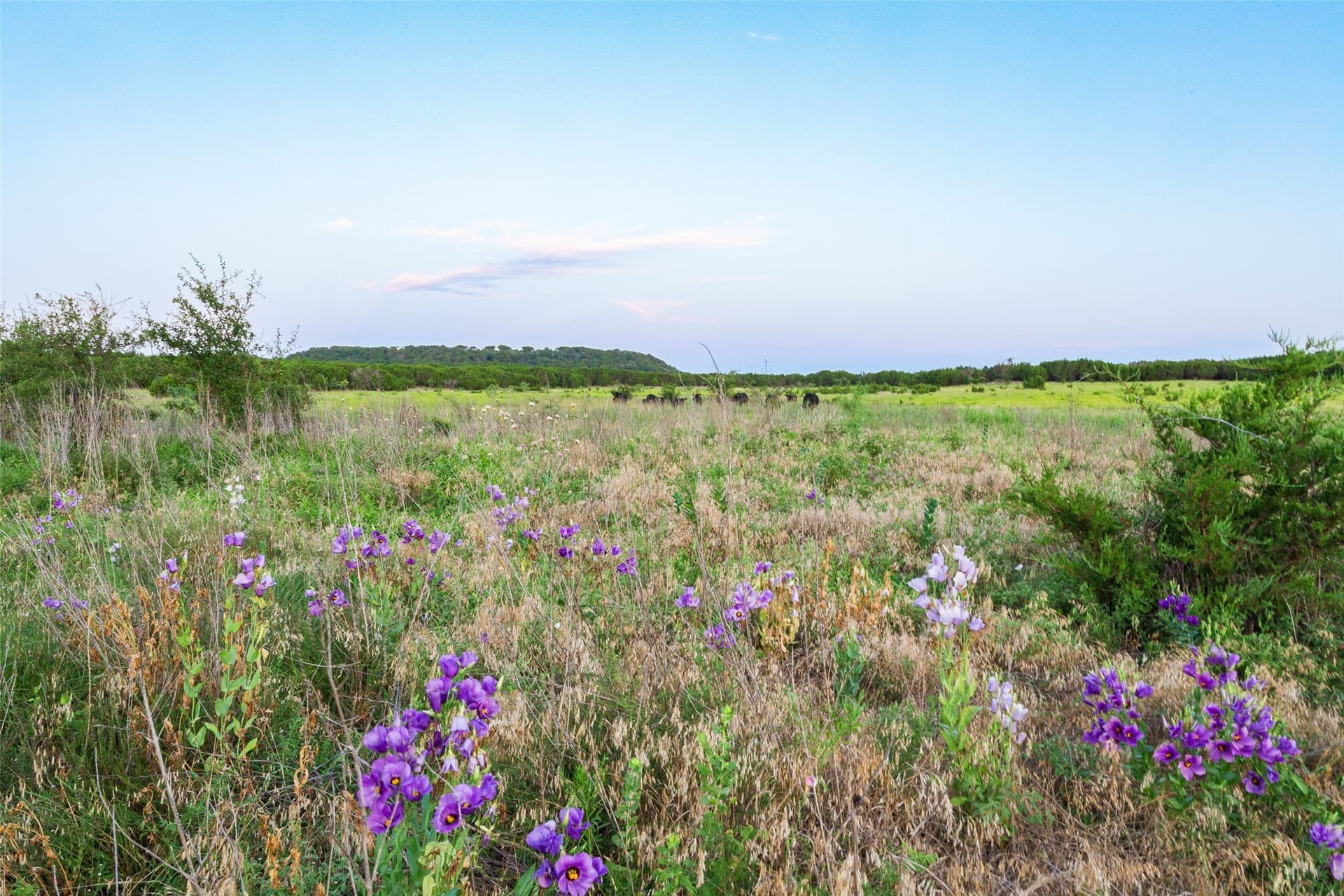 124 acres in Hamilton County - photo 9