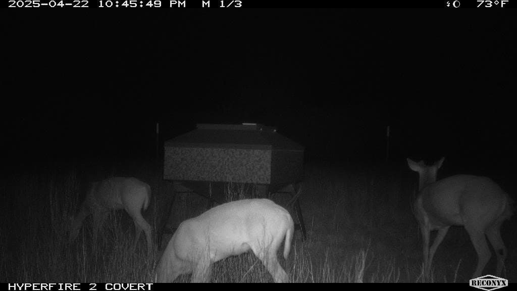 124 acres in Hamilton County - photo 12