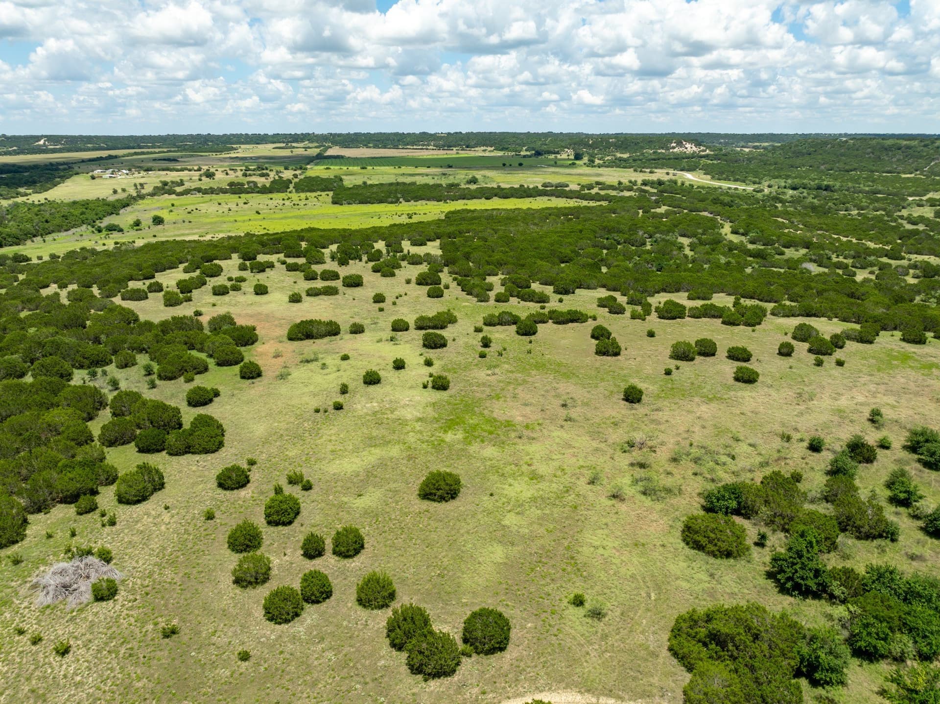 124 acres in Hamilton County - photo 20