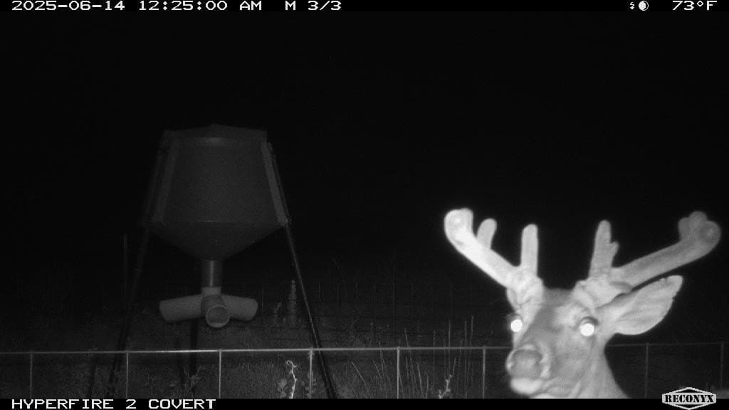 124 acres in Hamilton County - photo 14