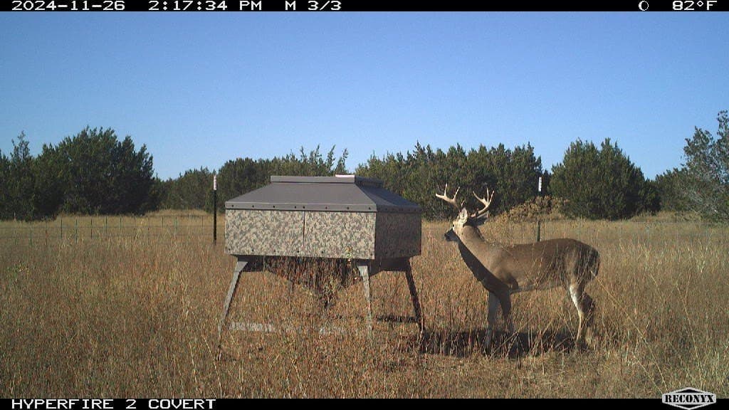 124 acres in Hamilton County - photo 17