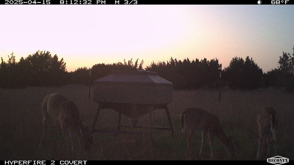 124 acres in Hamilton County - photo 13