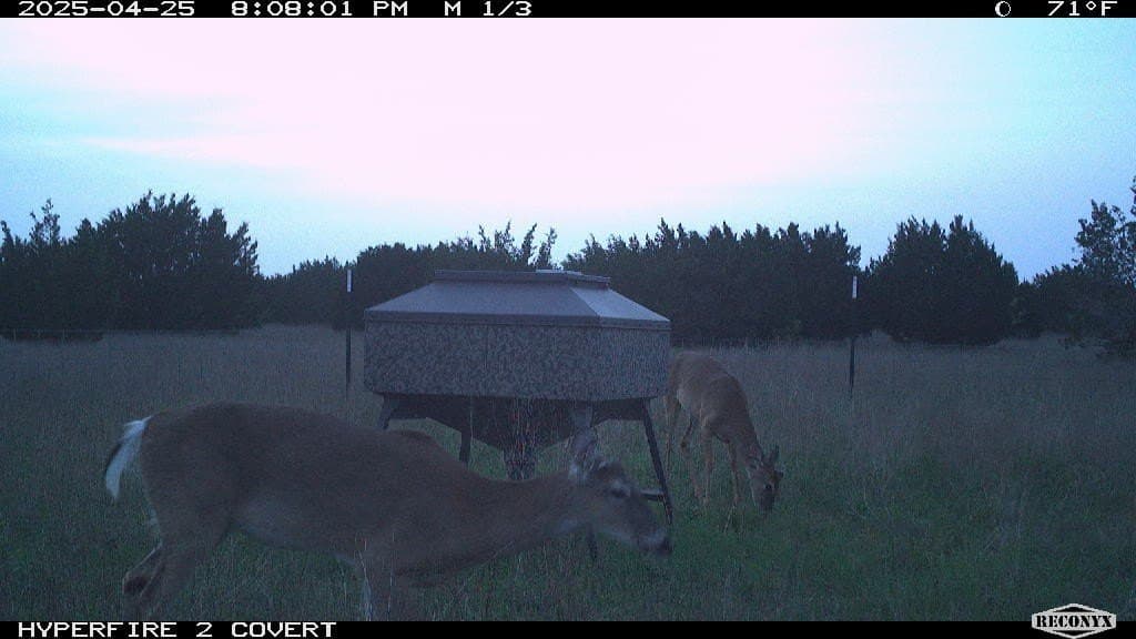 124 acres in Hamilton County - photo 11
