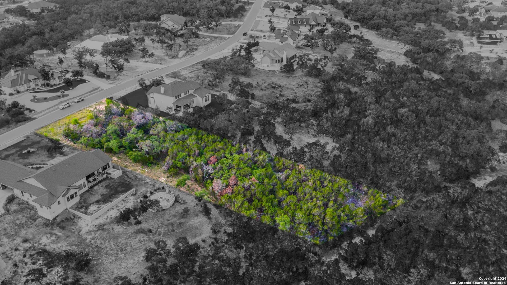 1.01 acres in Comal County gallery image 4