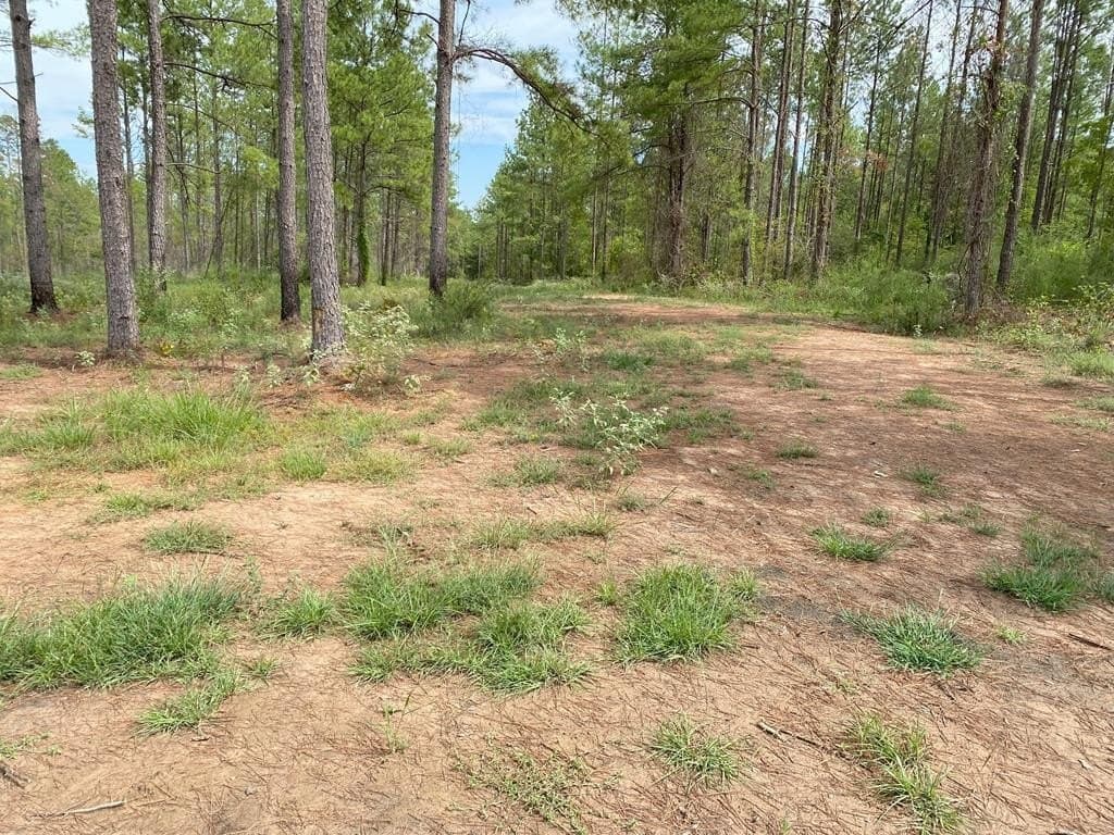 2.13 acres in Texas County