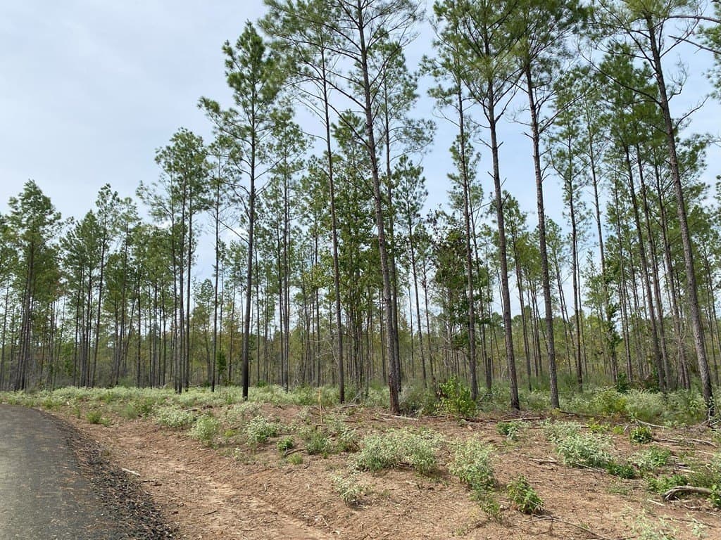 2.13 acres in Texas County featured view