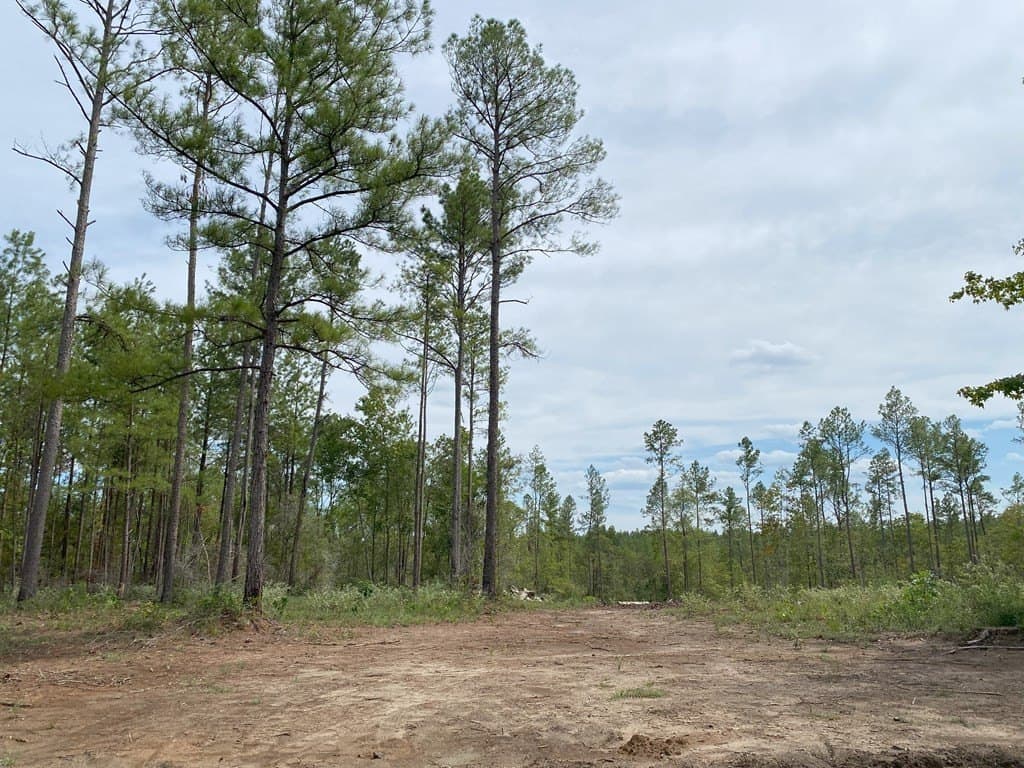 2.13 acres in Texas County - photo 6